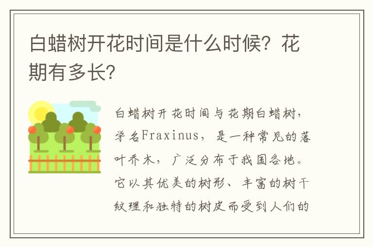 白蜡树开花时间是什么时候？花期有多长？
