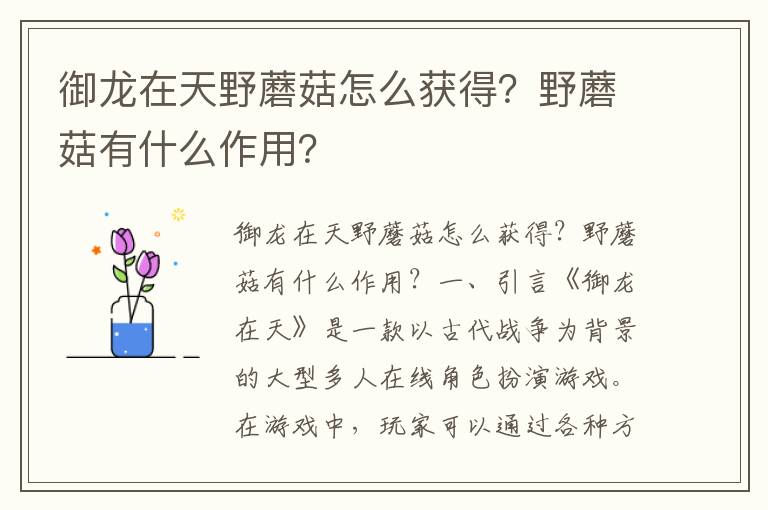 御龙在天野蘑菇怎么获得？野蘑菇有什么作用？