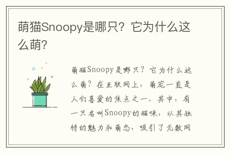 萌猫Snoopy是哪只？它为什么这么萌？