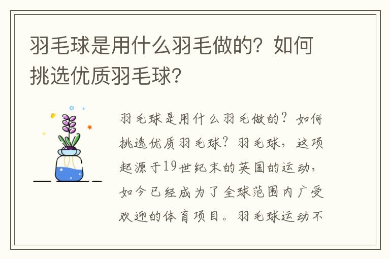 羽毛球是用什么羽毛做的？如何挑选优质羽毛球？