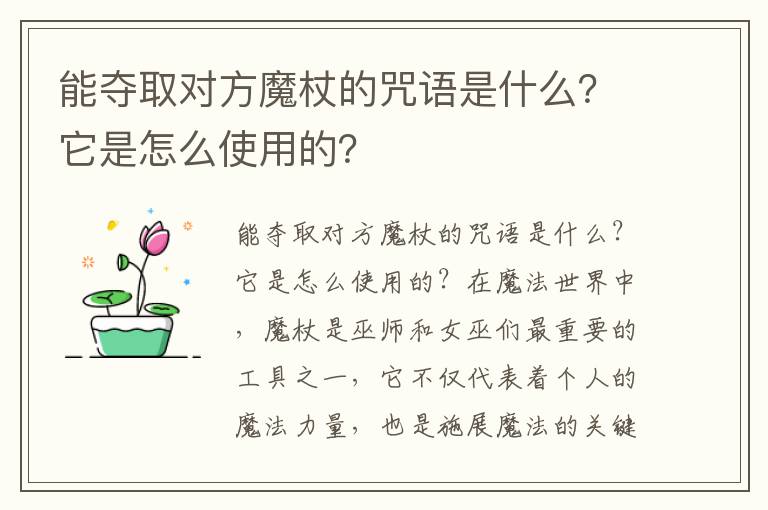 能夺取对方魔杖的咒语是什么？它是怎么使用的？