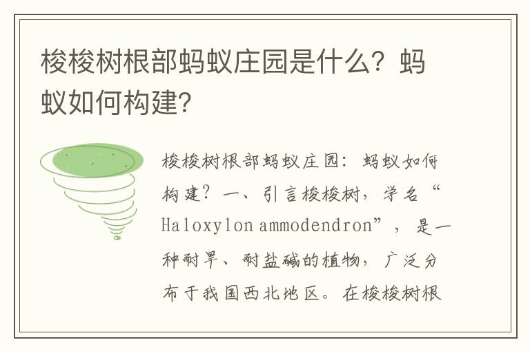 梭梭树根部蚂蚁庄园是什么？蚂蚁如何构建？